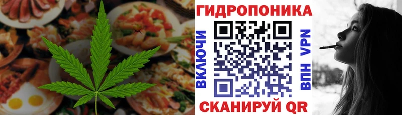 Canna-Cookies конопля магазин продажи наркотиков Ессентукская