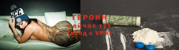 МДПВ Бородино