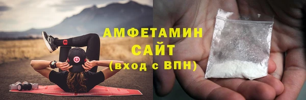 МДПВ Бородино