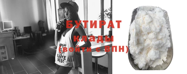 МДПВ Бородино