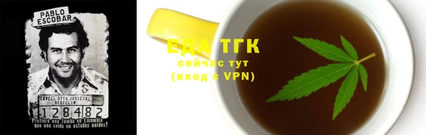 МДПВ Бородино