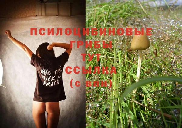МДПВ Бородино