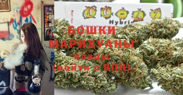МДПВ Бородино