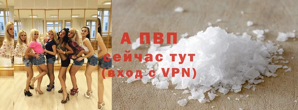 МДПВ Бородино