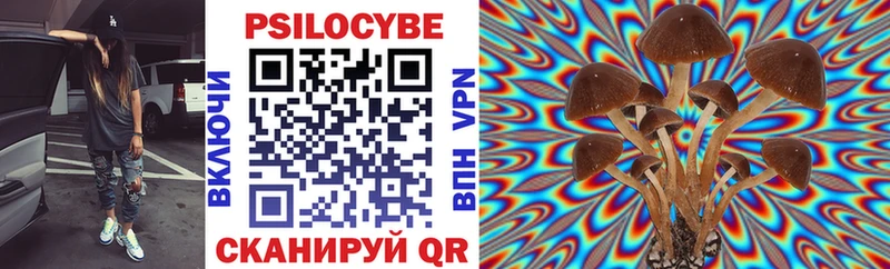 Псилоцибиновые грибы ЛСД  мега сайт  Ессентукская  продажа наркотиков 